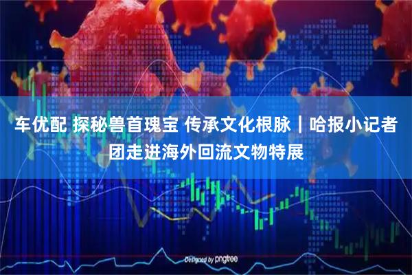 车优配 探秘兽首瑰宝 传承文化根脉｜哈报小记者团走进海外回流文物特展