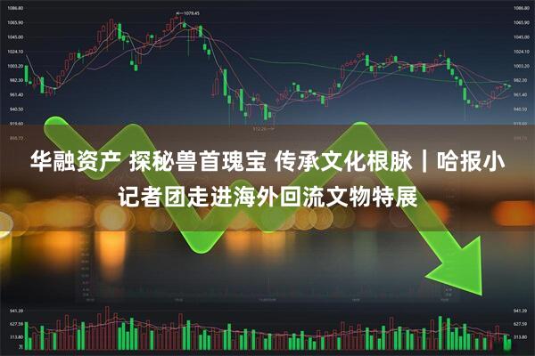 华融资产 探秘兽首瑰宝 传承文化根脉｜哈报小记者团走进海外回流文物特展